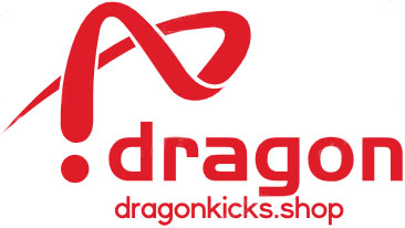 dragonkicks.shop